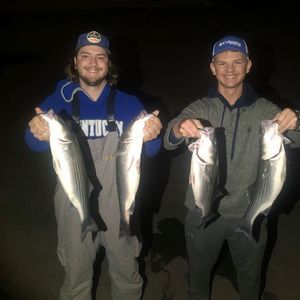 Meet your Posher, Logan